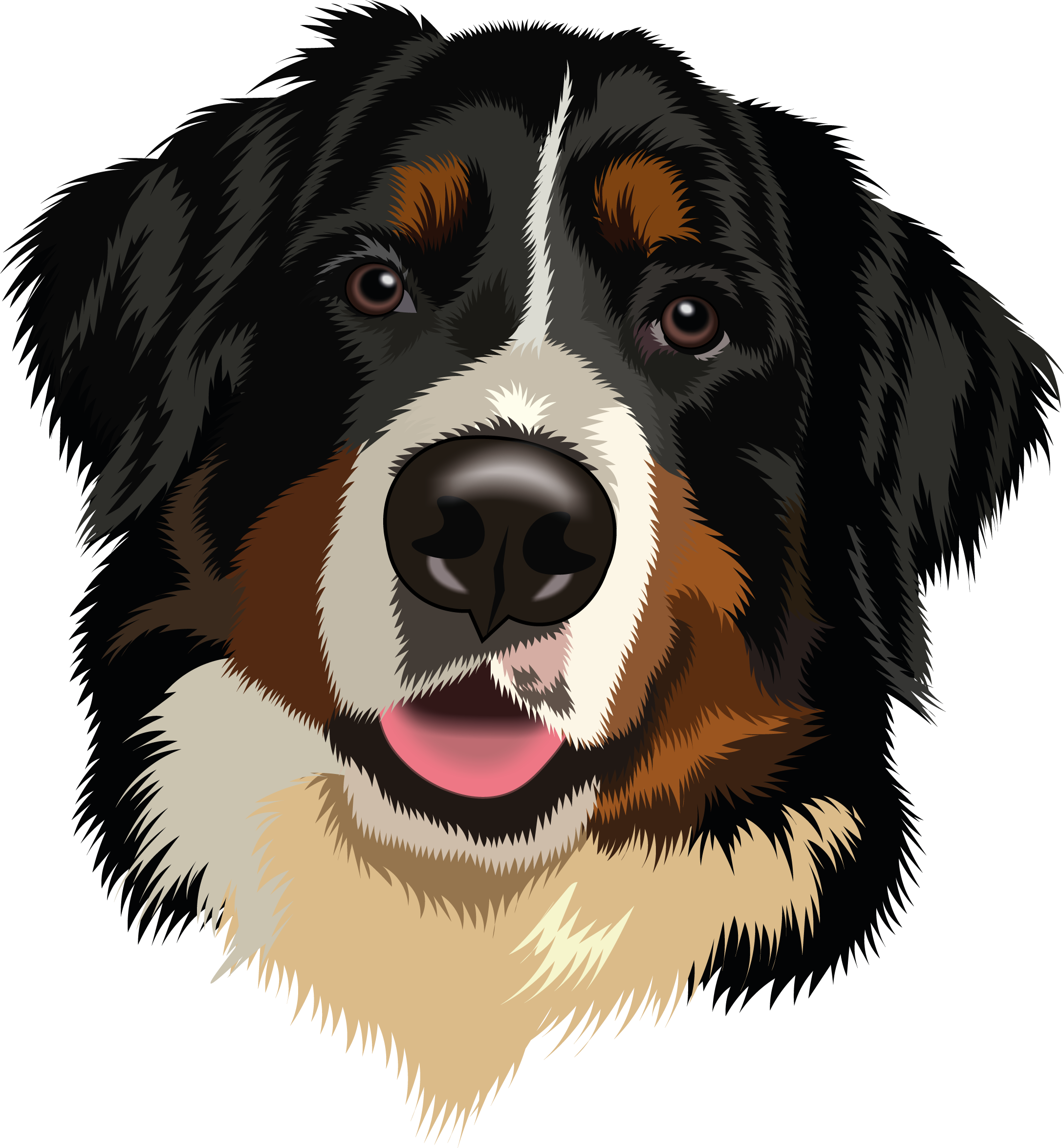 Custom vector pet portrait of a Bernese Mountain Dog by DELFIN_70.