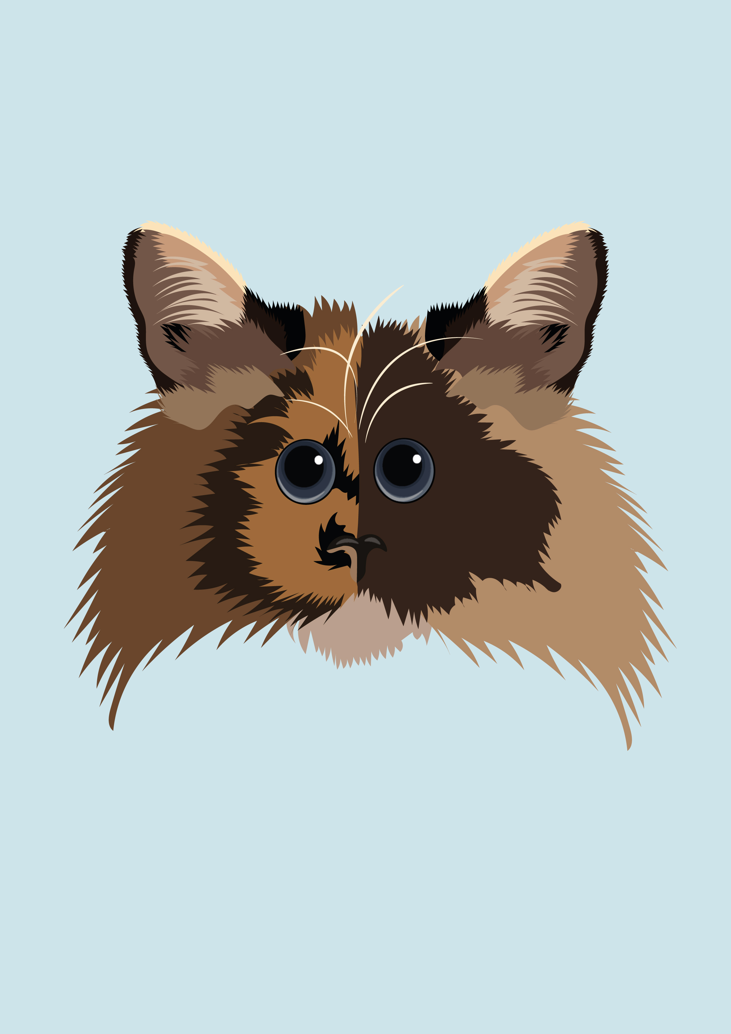 Humorous long-haired cat with split-face coloring vector portrait