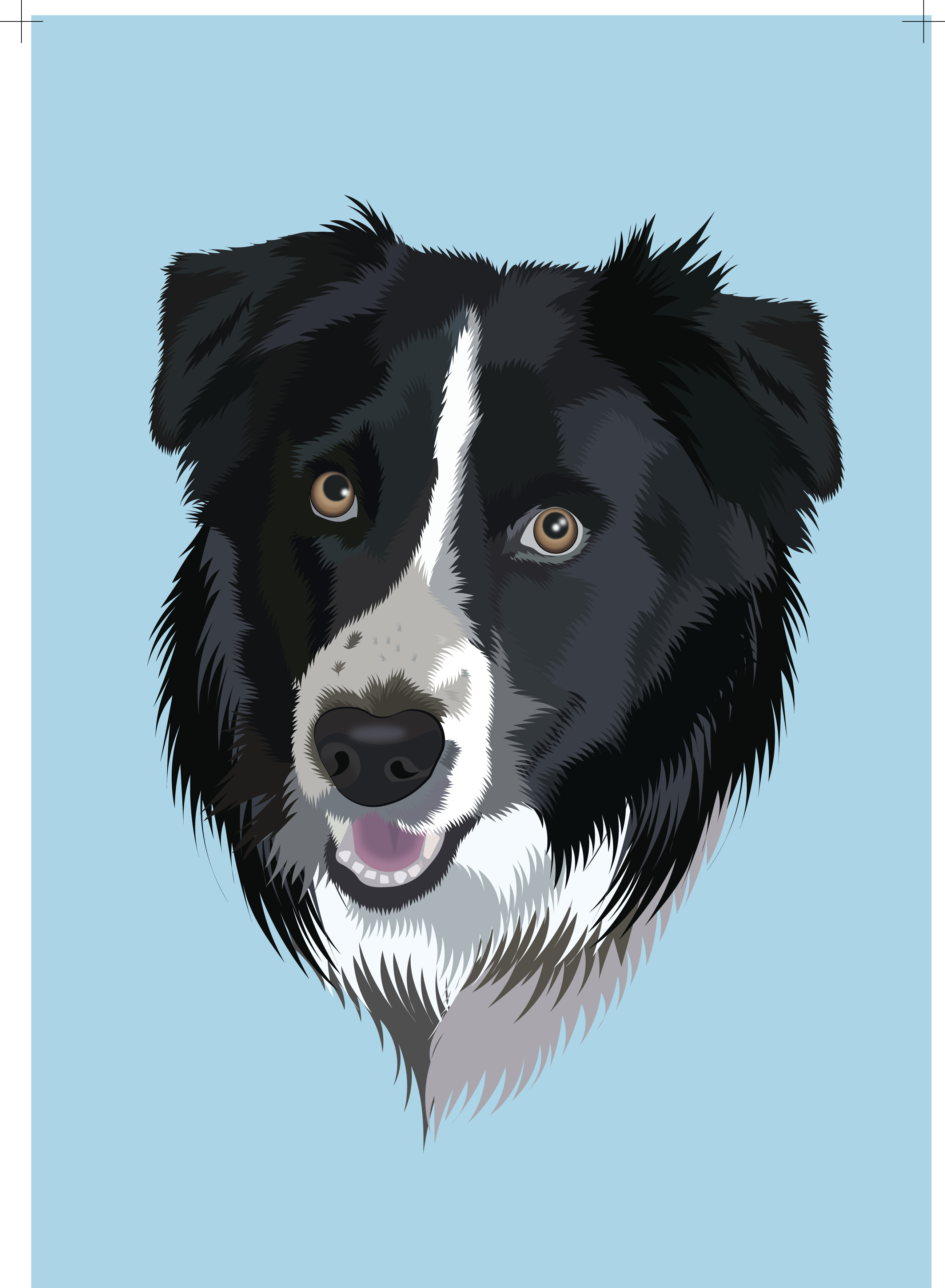 Realistic smiling Border Collie vector portrait