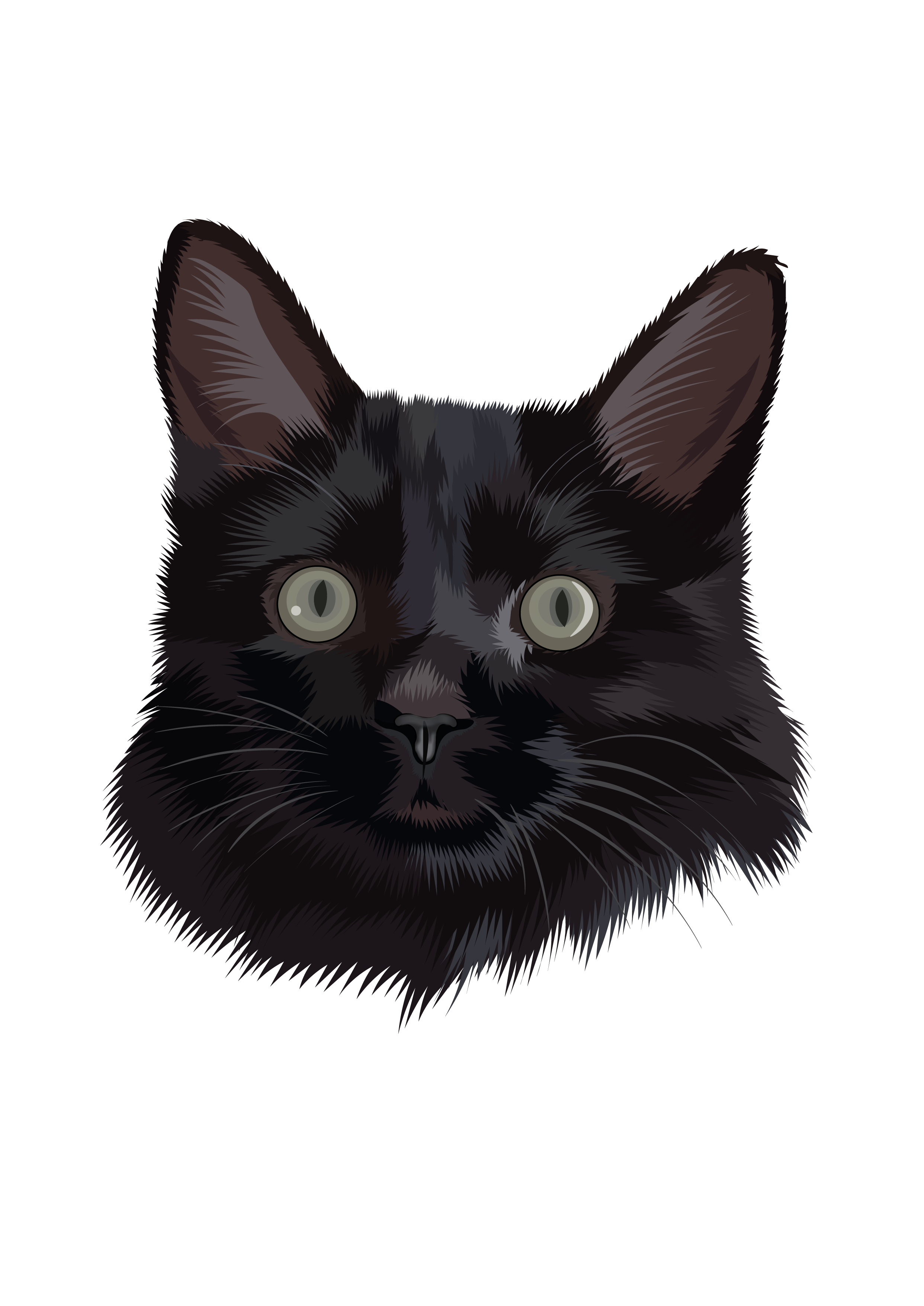 Realistic black cat vector portrait